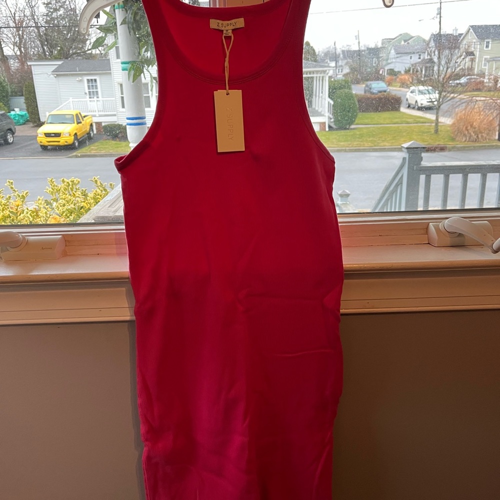 Z Supply Vibrant Pink Mini Dress